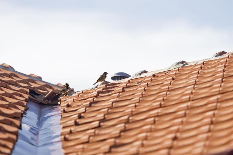 Optimisez l'&eacute;tanch&eacute;it&eacute; de votre toiture contre les intemp&eacute;ries